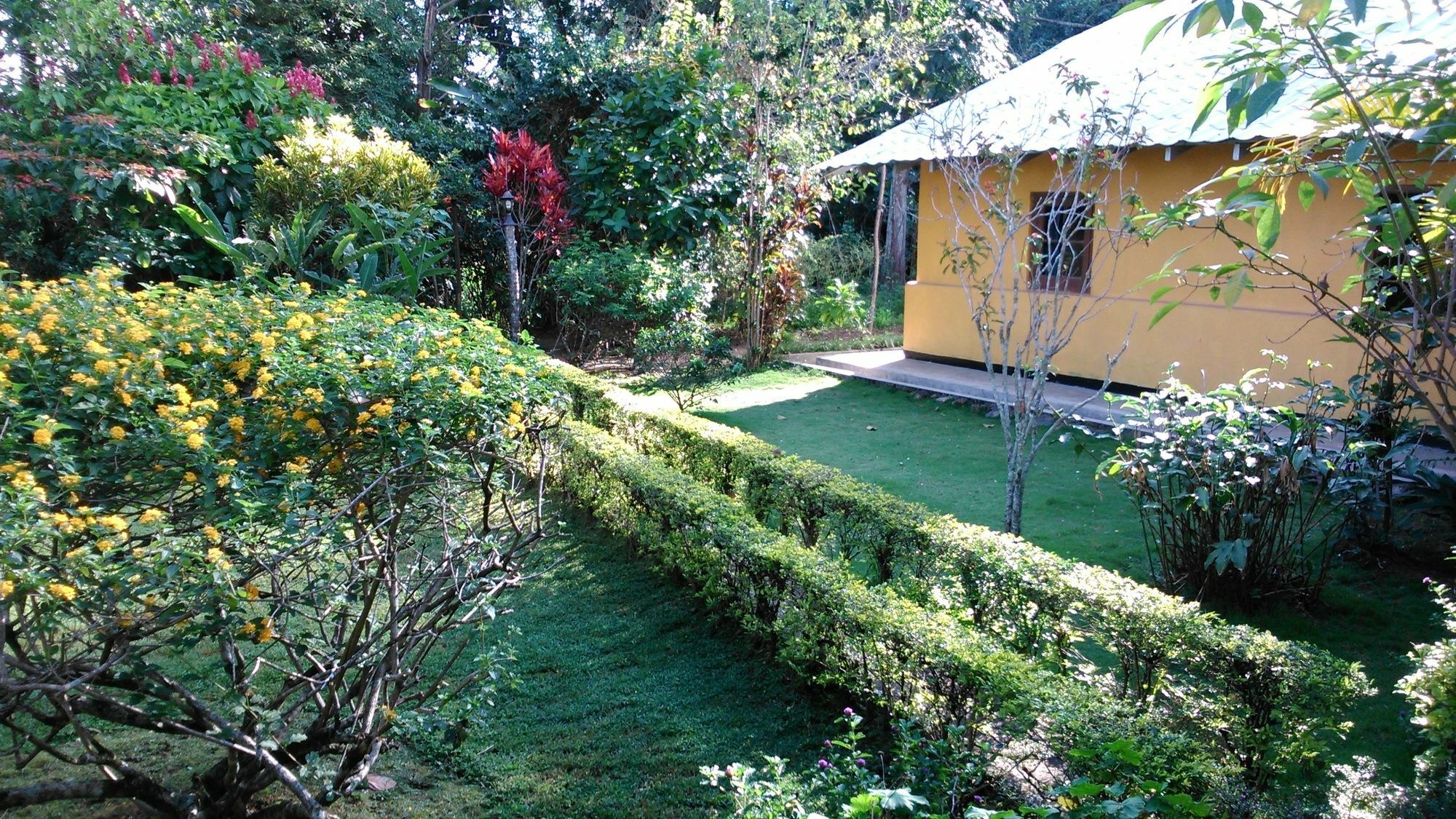 Sunnyside Holiday Bungalow 엘라 외부 사진