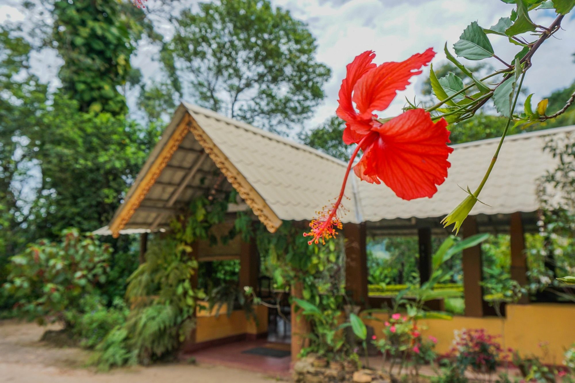 Sunnyside Holiday Bungalow 엘라 외부 사진